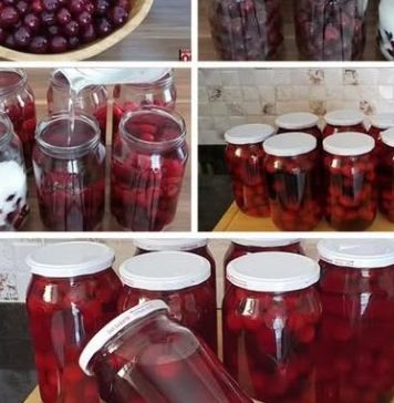 Metoda koju me je mama naučila KOMPOT OD VIŠNJA ILI TREŠANJA BEZ KUVANJA I CEĐENJA Metoda koju me je mama naučila KOMPOT OD VIŠNJA ILI TREŠANJA BEZ KUVANJA I CEĐENJA - featured image
