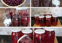 Metoda koju me je mama naučila KOMPOT OD VIŠNJA ILI TREŠANJA BEZ KUVANJA I CEĐENJA Metoda koju me je mama naučila KOMPOT OD VIŠNJA ILI TREŠANJA BEZ KUVANJA I CEĐENJA - featured image