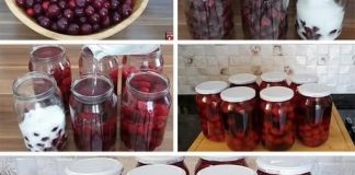 Metoda koju me je mama naučila KOMPOT OD VIŠNJA ILI TREŠANJA BEZ KUVANJA I CEĐENJA Metoda koju me je mama naučila KOMPOT OD VIŠNJA ILI TREŠANJA BEZ KUVANJA I CEĐENJA - featured image