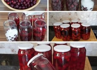 Metoda koju me je mama naučila KOMPOT OD VIŠNJA ILI TREŠANJA BEZ KUVANJA I CEĐENJA Metoda koju me je mama naučila KOMPOT OD VIŠNJA ILI TREŠANJA BEZ KUVANJA I CEĐENJA - featured image