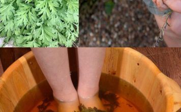 Starinski trik sa pelinom koji regeneriše telo kroz stopala za 20 minuta – lekari ostaju bez reči! Starinski trik sa pelinom koji regeneriše telo kroz stopala za 20 minuta – lekari ostaju bez reči! - featured image