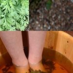 Starinski trik sa pelinom koji regeneriše telo kroz stopala za 20 minuta – lekari ostaju bez reči! Starinski trik sa pelinom koji regeneriše telo kroz stopala za 20 minuta – lekari ostaju bez reči! - featured image