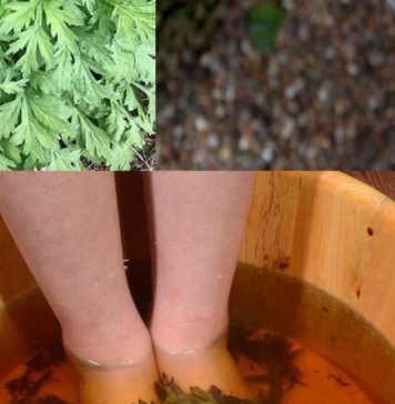 Starinski trik sa pelinom koji regeneriše telo kroz stopala za 20 minuta – lekari ostaju bez reči! Starinski trik sa pelinom koji regeneriše telo kroz stopala za 20 minuta – lekari ostaju bez reči! - featured image