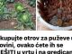 Ne kupujte otrov za puževe u trgovini, ovako ćete ih se RIJEŠITI u vrtu i na gredicama: Imam čisto cijelo dvorište i nema KEMIKALIJA! Ne kupujte otrov za puževe u trgovini, ovako ćete ih se RIJEŠITI u vrtu i na gredicama: Imam čisto cijelo dvorište i nema KEMIKALIJA! - featured image