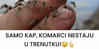 SAMO KAP, KOMARCI NESTAJU U TRENUTKU Komarci mrze ove mirise. Djeluju i u zatvorenom i na otvorenom! SAMO KAP, KOMARCI NESTAJU U TRENUTKU Komarci mrze ove mirise. Djeluju i u zatvorenom i na otvorenom! - featured image