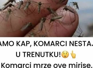 SAMO KAP, KOMARCI NESTAJU U TRENUTKU Komarci mrze ove mirise. Djeluju i u zatvorenom i na otvorenom! SAMO KAP, KOMARCI NESTAJU U TRENUTKU Komarci mrze ove mirise. Djeluju i u zatvorenom i na otvorenom! - featured image