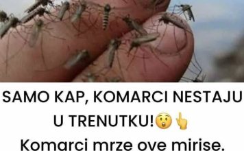 SAMO KAP, KOMARCI NESTAJU U TRENUTKU Komarci mrze ove mirise. Djeluju i u zatvorenom i na otvorenom! SAMO KAP, KOMARCI NESTAJU U TRENUTKU Komarci mrze ove mirise. Djeluju i u zatvorenom i na otvorenom! - featured image