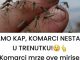 SAMO KAP, KOMARCI NESTAJU U TRENUTKU Komarci mrze ove mirise. Djeluju i u zatvorenom i na otvorenom! SAMO KAP, KOMARCI NESTAJU U TRENUTKU Komarci mrze ove mirise. Djeluju i u zatvorenom i na otvorenom! - featured image