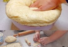 “LUDO TESTO” SE PRAVI ZA 5 MINUTA, a može da stoji 7 dana: Brza smesa za kiflice, pogaču, picu… baš sve vrste peciva “LUDO TESTO” SE PRAVI ZA 5 MINUTA, a može da stoji 7 dana: Brza smesa za kiflice, pogaču, picu… baš sve vrste peciva - featured image