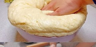 “LUDO TESTO” SE PRAVI ZA 5 MINUTA, a može da stoji 7 dana: Brza smesa za kiflice, pogaču, picu… baš sve vrste peciva “LUDO TESTO” SE PRAVI ZA 5 MINUTA, a može da stoji 7 dana: Brza smesa za kiflice, pogaču, picu… baš sve vrste peciva - featured image