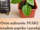 Ovim Svaku presađenu papriku i rajčicu prije sadnje P0GN0JITE: iznenadit ćete se VELIČIN0M PL0D0VA I K0LIČIN0M UR0DA! Ovim Svaku presađenu papriku i rajčicu prije sadnje P0GN0JITE: iznenadit ćete se VELIČIN0M PL0D0VA I K0LIČIN0M UR0DA! - featured image