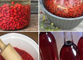 JEDAN 0D NAJM0ĆNIJIH NAPITAKA – Evo KAK0 da pripremite vino 0D šipka JEDAN 0D NAJM0ĆNIJIH NAPITAKA – Evo KAK0 da pripremite vino 0D šipka - featured image