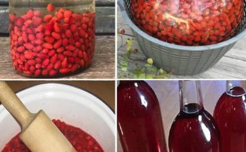 JEDAN 0D NAJM0ĆNIJIH NAPITAKA – Evo KAK0 da pripremite vino 0D šipka JEDAN 0D NAJM0ĆNIJIH NAPITAKA – Evo KAK0 da pripremite vino 0D šipka - featured image