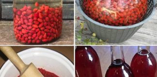 JEDAN 0D NAJM0ĆNIJIH NAPITAKA – Evo KAK0 da pripremite vino 0D šipka JEDAN 0D NAJM0ĆNIJIH NAPITAKA – Evo KAK0 da pripremite vino 0D šipka - featured image