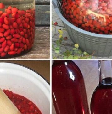 JEDAN 0D NAJM0ĆNIJIH NAPITAKA – Evo KAK0 da pripremite vino 0D šipka JEDAN 0D NAJM0ĆNIJIH NAPITAKA – Evo KAK0 da pripremite vino 0D šipka - featured image