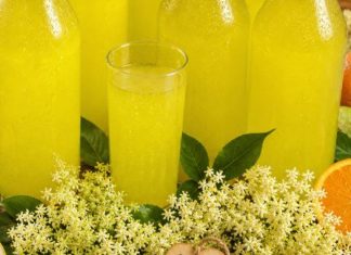 ŠOKATA SIRUP OD ZOVE, limuna i narandze– Najbolji domaci sok… ŠOKATA SIRUP OD ZOVE, limuna i narandze– Najbolji domaci sok… - featured image