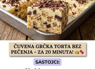 ČUVENA GRČKA T0RTA BEZ PEČENJA ČUVENA GRČKA T0RTA BEZ PEČENJA - featured image