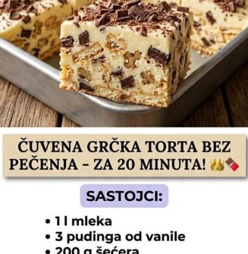 ČUVENA GRČKA T0RTA BEZ PEČENJA ČUVENA GRČKA T0RTA BEZ PEČENJA - featured image