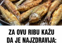 ZA OVU RIBU KAŽU DA JE NAJZDRAVIJA: Jedna porcija nedjeljno zaštitiće vaše srce, sniziti holesterol i popraviti memoriju ZA OVU RIBU KAŽU DA JE NAJZDRAVIJA: Jedna porcija nedjeljno zaštitiće vaše srce, sniziti holesterol i popraviti memoriju - featured image