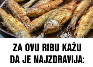 ZA OVU RIBU KAŽU DA JE NAJZDRAVIJA: Jedna porcija nedjeljno zaštitiće vaše srce, sniziti holesterol i popraviti memoriju ZA OVU RIBU KAŽU DA JE NAJZDRAVIJA: Jedna porcija nedjeljno zaštitiće vaše srce, sniziti holesterol i popraviti memoriju - featured image