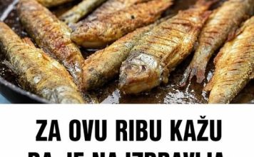ZA OVU RIBU KAŽU DA JE NAJZDRAVIJA: Jedna porcija nedjeljno zaštitiće vaše srce, sniziti holesterol i popraviti memoriju ZA OVU RIBU KAŽU DA JE NAJZDRAVIJA: Jedna porcija nedjeljno zaštitiće vaše srce, sniziti holesterol i popraviti memoriju - featured image