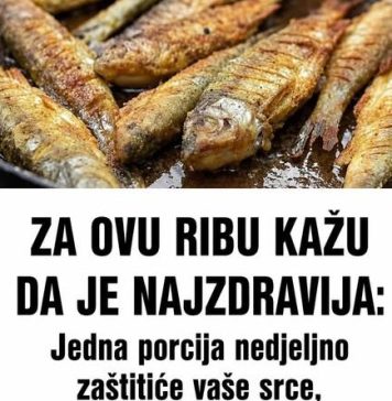 ZA OVU RIBU KAŽU DA JE NAJZDRAVIJA: Jedna porcija nedjeljno zaštitiće vaše srce, sniziti holesterol i popraviti memoriju ZA OVU RIBU KAŽU DA JE NAJZDRAVIJA: Jedna porcija nedjeljno zaštitiće vaše srce, sniziti holesterol i popraviti memoriju - featured image
