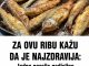 ZA OVU RIBU KAŽU DA JE NAJZDRAVIJA: Jedna porcija nedjeljno zaštitiće vaše srce, sniziti holesterol i popraviti memoriju ZA OVU RIBU KAŽU DA JE NAJZDRAVIJA: Jedna porcija nedjeljno zaštitiće vaše srce, sniziti holesterol i popraviti memoriju - featured image
