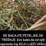 NE BACAJTE PETELJKE OD TREŠNJE: Evo kako da od njih napravite čaj KOJI LIJEČI UPALU BUBREGA I MOKRAĆNIH KANALA (FOTO) NE BACAJTE PETELJKE OD TREŠNJE: Evo kako da od njih napravite čaj KOJI LIJEČI UPALU BUBREGA I MOKRAĆNIH KANALA (FOTO) - featured image