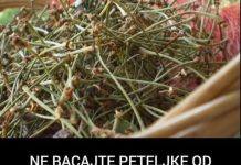 NE BACAJTE PETELJKE OD TREŠNJE: Evo kako da od njih napravite čaj KOJI LIJEČI UPALU BUBREGA I MOKRAĆNIH KANALA (FOTO) NE BACAJTE PETELJKE OD TREŠNJE: Evo kako da od njih napravite čaj KOJI LIJEČI UPALU BUBREGA I MOKRAĆNIH KANALA (FOTO) - featured image