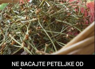 NE BACAJTE PETELJKE OD TREŠNJE: Evo kako da od njih napravite čaj KOJI LIJEČI UPALU BUBREGA I MOKRAĆNIH KANALA (FOTO) NE BACAJTE PETELJKE OD TREŠNJE: Evo kako da od njih napravite čaj KOJI LIJEČI UPALU BUBREGA I MOKRAĆNIH KANALA (FOTO) - featured image