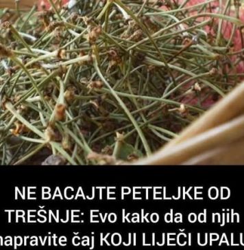 NE BACAJTE PETELJKE OD TREŠNJE: Evo kako da od njih napravite čaj KOJI LIJEČI UPALU BUBREGA I MOKRAĆNIH KANALA (FOTO) NE BACAJTE PETELJKE OD TREŠNJE: Evo kako da od njih napravite čaj KOJI LIJEČI UPALU BUBREGA I MOKRAĆNIH KANALA (FOTO) - featured image