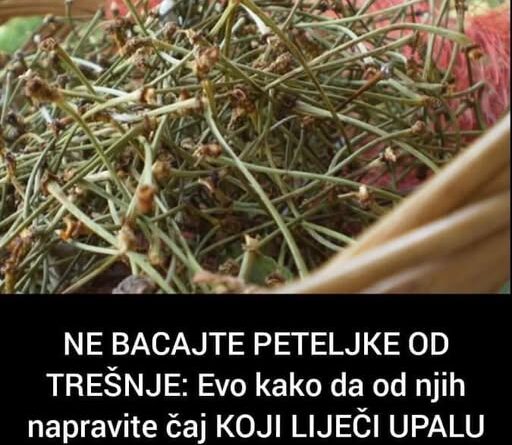NE BACAJTE PETELJKE OD TREŠNJE: Evo kako da od njih napravite čaj KOJI LIJEČI UPALU BUBREGA I MOKRAĆNIH KANALA (FOTO) - featured image NE BACAJTE PETELJKE OD TREŠNJE: Evo kako da od njih napravite čaj KOJI LIJEČI UPALU BUBREGA I MOKRAĆNIH KANALA (FOTO) - featured image
