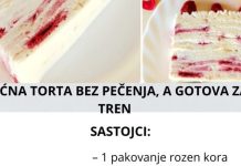 VOĆNA TORTA BEZ PEČENJA, a gotova za tren VOĆNA TORTA BEZ PEČENJA, a gotova za tren - featured image