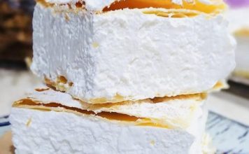 PRAVA DOMAĆA ŠAMPITA PRAVA DOMAĆA ŠAMPITA - featured image