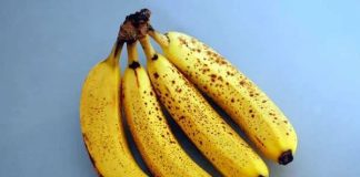 DOKTORICA UPOZORILA KOJE OSOBE NE SMIJU JESTI BANANE: MOGU BITI OPASNE, POSEBNO AKO IMATE OVU BOLEST DOKTORICA UPOZORILA KOJE OSOBE NE SMIJU JESTI BANANE: MOGU BITI OPASNE, POSEBNO AKO IMATE OVU BOLEST - featured image