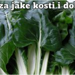BLITVA ZA JAKE KOSTI I DOBAR VID – SPREMANJE NA DALMATINSKI NAČIN (RECEPT)!! BLITVA ZA JAKE KOSTI I DOBAR VID – SPREMANJE NA DALMATINSKI NAČIN (RECEPT)!! - featured image