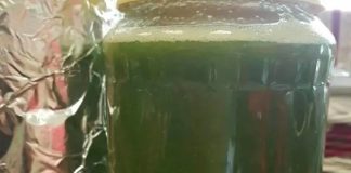 Med od čuvarkuće liječi cijelo tijelo, evo kako da ga napravite: brzo zapišite recept, izvlači sva oboljenja Med od čuvarkuće liječi cijelo tijelo, evo kako da ga napravite: brzo zapišite recept, izvlači sva oboljenja - featured image
