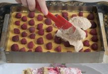 PLAZMA TORTA SA MALINAMA GOTOVA ZA TREN OKA PLAZMA TORTA SA MALINAMA GOTOVA ZA TREN OKA - featured image