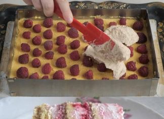 PLAZMA TORTA SA MALINAMA GOTOVA ZA TREN OKA PLAZMA TORTA SA MALINAMA GOTOVA ZA TREN OKA - featured image