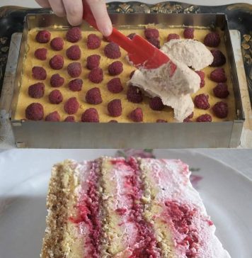 PLAZMA TORTA SA MALINAMA GOTOVA ZA TREN OKA PLAZMA TORTA SA MALINAMA GOTOVA ZA TREN OKA - featured image