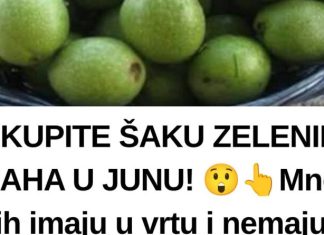 SKUPITE ŠAKU ZELENIH ORAHA U JUNU! 😲👆Mnogi ih imaju u vrtu i nemaju pojma što ovi zeleni plodovi mogu učiniti. Ne čekajte da sazru! SKUPITE ŠAKU ZELENIH ORAHA U JUNU! 😲👆Mnogi ih imaju u vrtu i nemaju pojma što ovi zeleni plodovi mogu učiniti. Ne čekajte da sazru! - featured image