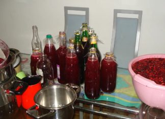 DOMAĆI SOK OD VIŠANJA BEZ KUHANJA – DOBIJE SE ČAK 15 LITARA SIRUPA DOMAĆI SOK OD VIŠANJA BEZ KUHANJA – DOBIJE SE ČAK 15 LITARA SIRUPA - featured image
