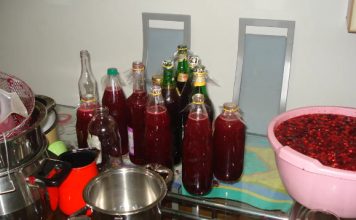 DOMAĆI SOK OD VIŠANJA BEZ KUHANJA – DOBIJE SE ČAK 15 LITARA SIRUPA DOMAĆI SOK OD VIŠANJA BEZ KUHANJA – DOBIJE SE ČAK 15 LITARA SIRUPA - featured image