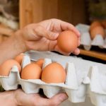 Koliko tačno dugo smiju da se čuvaju svježa jaja u frižideru? Iznenadićete se Koliko tačno dugo smiju da se čuvaju svježa jaja u frižideru? Iznenadićete se - featured image