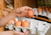 Koliko tačno dugo smiju da se čuvaju svježa jaja u frižideru? Iznenadićete se Koliko tačno dugo smiju da se čuvaju svježa jaja u frižideru? Iznenadićete se - featured image