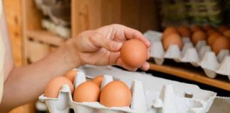 Koliko tačno dugo smiju da se čuvaju svježa jaja u frižideru? Iznenadićete se Koliko tačno dugo smiju da se čuvaju svježa jaja u frižideru? Iznenadićete se - featured image