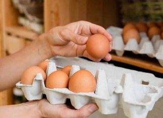 Koliko tačno dugo smiju da se čuvaju svježa jaja u frižideru? Iznenadićete se Koliko tačno dugo smiju da se čuvaju svježa jaja u frižideru? Iznenadićete se - featured image