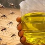 Muče vas muhe, komarci i insekti? Evo trika koji ih uklanja bez da potrošite ijednu marku! Muče vas muhe, komarci i insekti? Evo trika koji ih uklanja bez da potrošite ijednu marku! - featured image