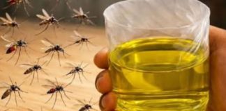 Muče vas muhe, komarci i insekti? Evo trika koji ih uklanja bez da potrošite ijednu marku! Muče vas muhe, komarci i insekti? Evo trika koji ih uklanja bez da potrošite ijednu marku! - featured image