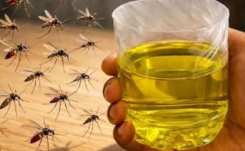 Muče vas muhe, komarci i insekti? Evo trika koji ih uklanja bez da potrošite ijednu marku! Muče vas muhe, komarci i insekti? Evo trika koji ih uklanja bez da potrošite ijednu marku! - featured image